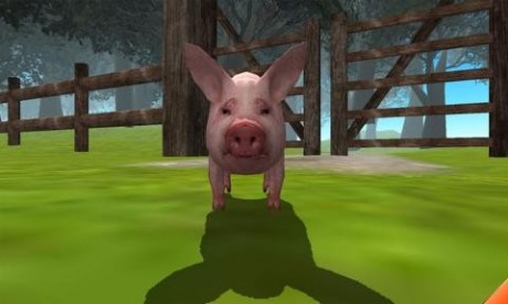 猪猪模拟器